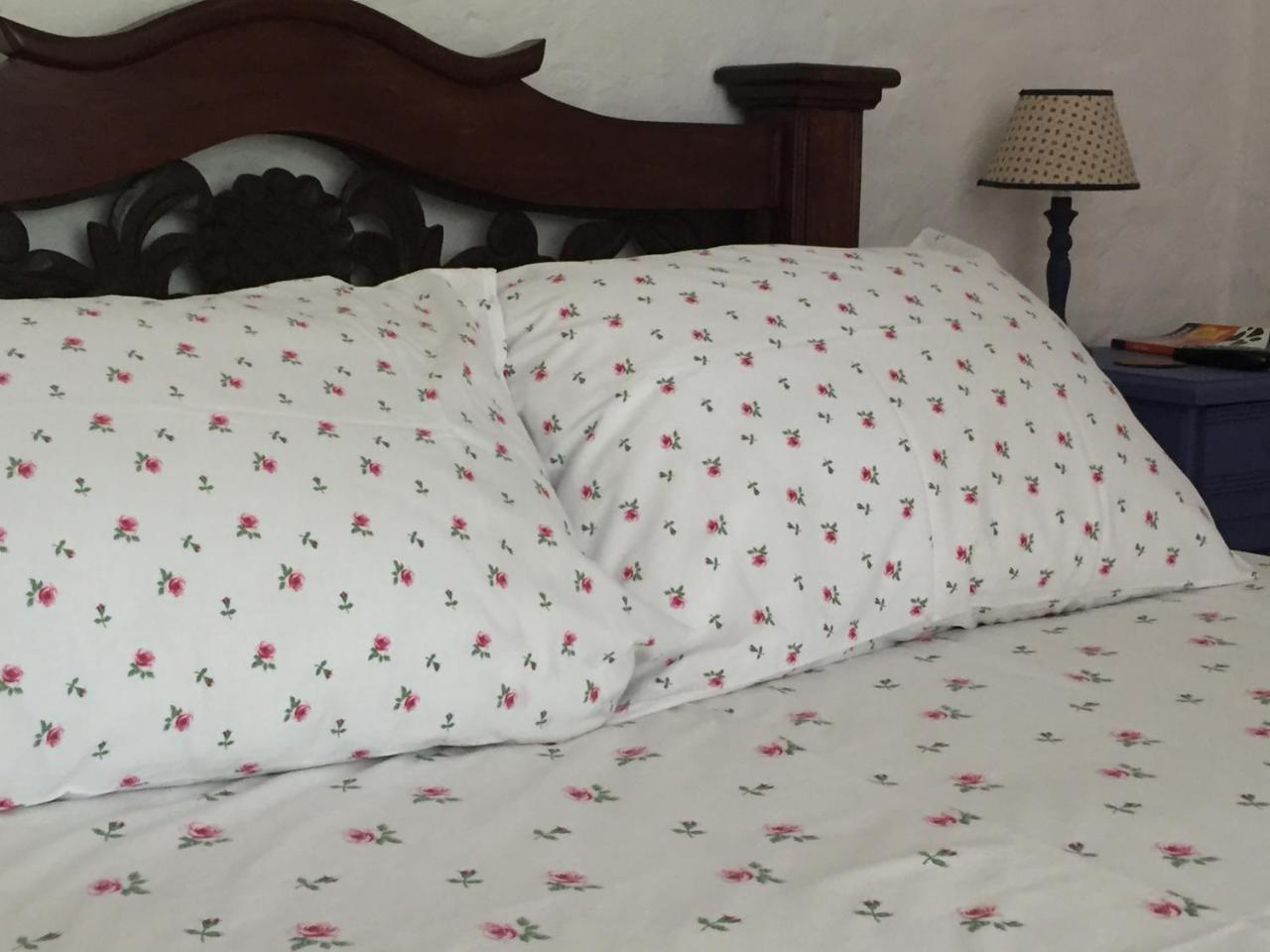 Hotel Casona Las Juanas San José de Pare Dış mekan fotoğraf