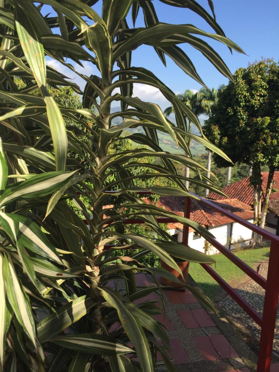 Hotel Casona Las Juanas San José de Pare Dış mekan fotoğraf